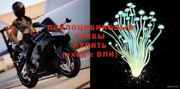 мяу мяу мука Мегион