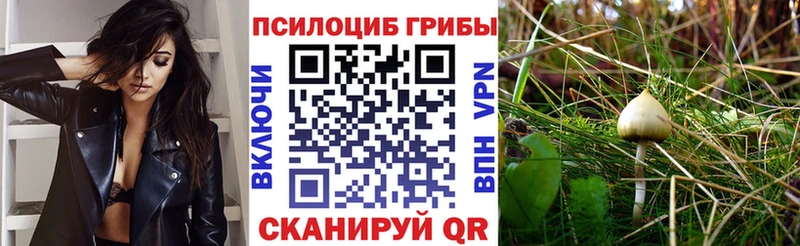 Псилоцибиновые грибы GOLDEN TEACHER  Кукмор 