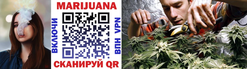 Каннабис OG Kush  ОМГ ОМГ tor  Кукмор 